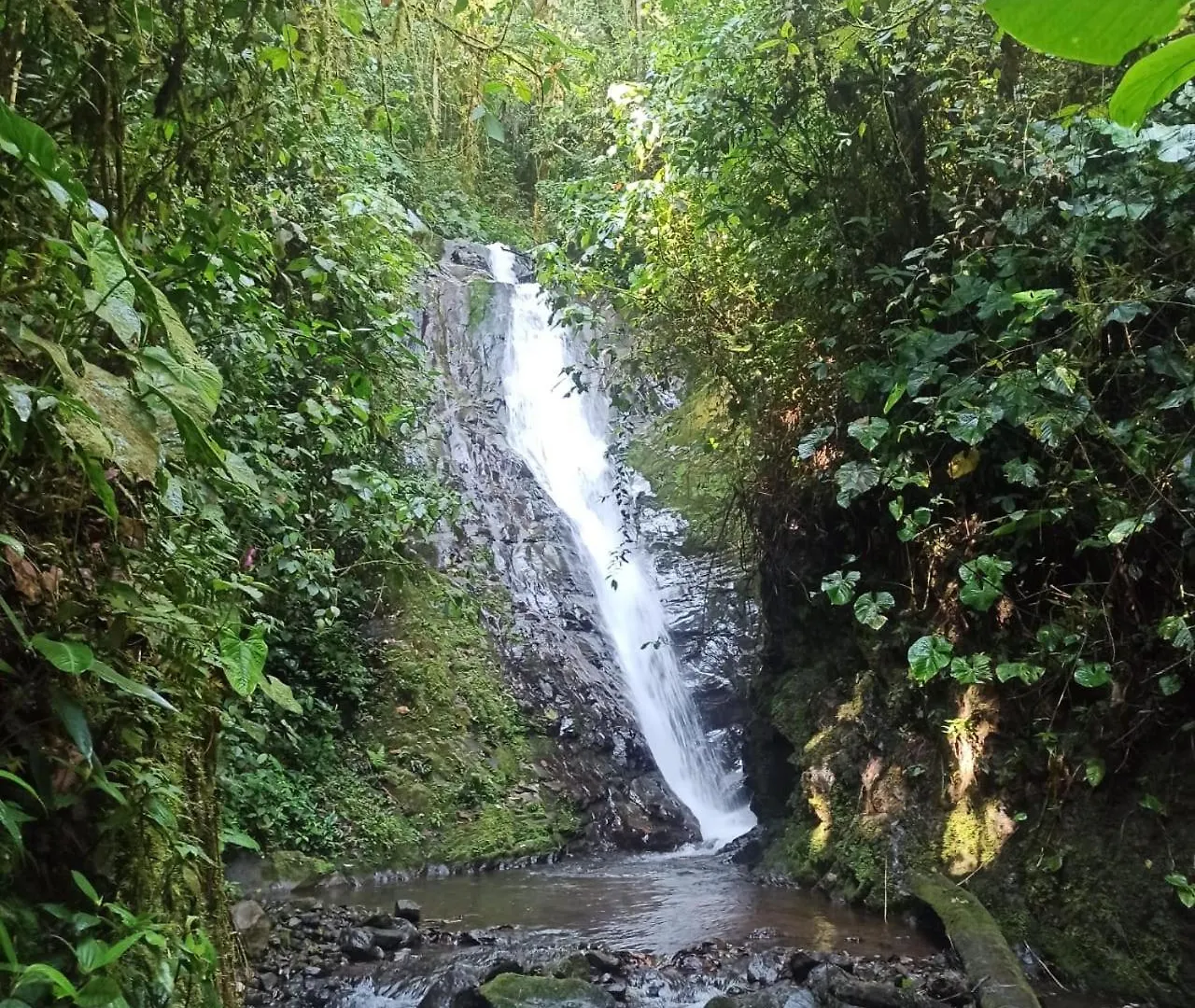 Cascada El Rayo Puma Sacha Bed & Breakfast Quito
