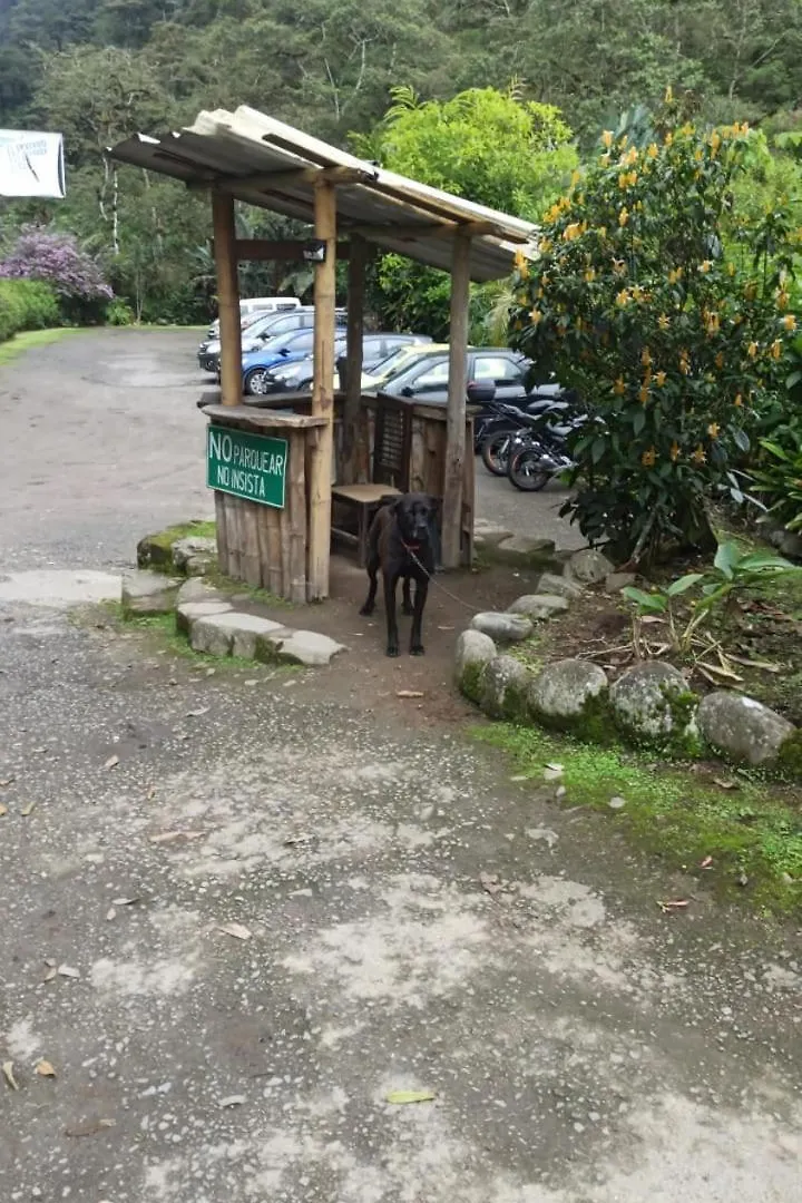 Cascada El Rayo Puma Sacha Bed & Breakfast Quito