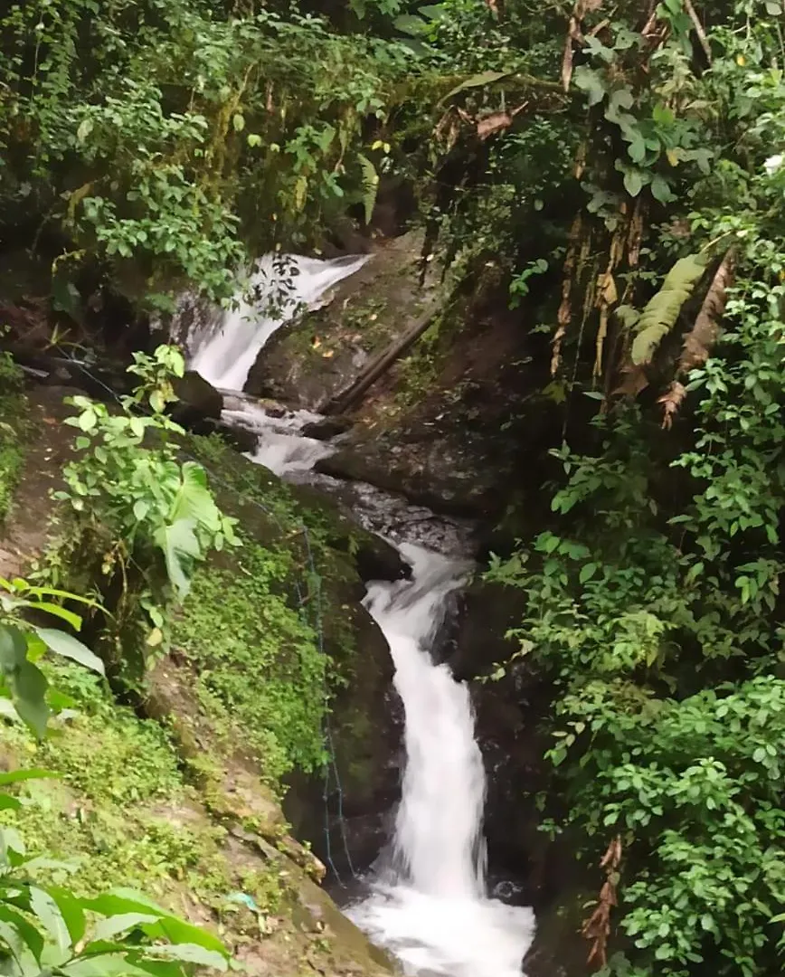 Cascada El Rayo Puma Sacha Bed & Breakfast Quito Ecuador