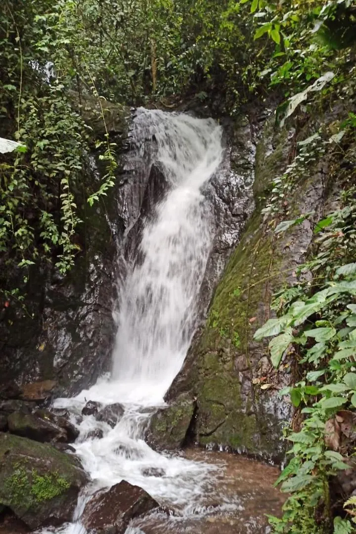 Cascada El Rayo Puma Sacha Bed & Breakfast Quito