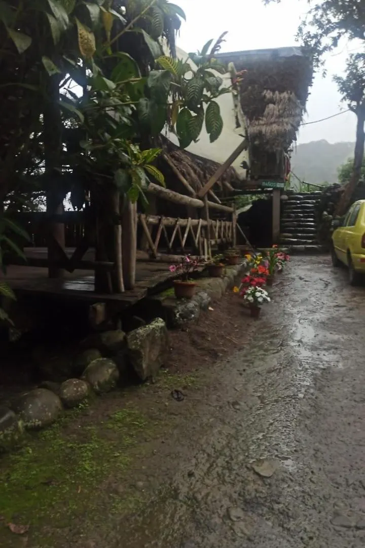 Cascada El Rayo Puma Sacha Bed & Breakfast Quito